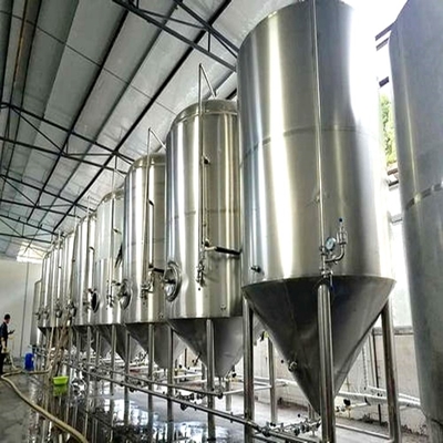 Van de het biergisting van de bierproductielijn de dienst van de het materiaalgarantie