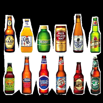 Van de het biergisting van de bierproductielijn de dienst van de het materiaalgarantie