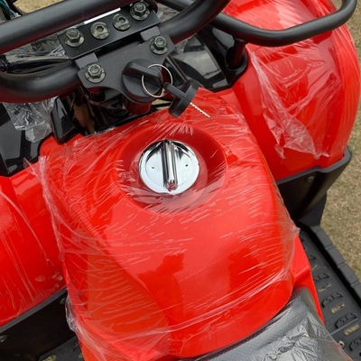 ATV 4 Wheel Drive Beach Buggy 4X4 1000cc