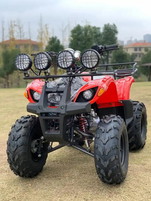 ATV 4 Wheel Drive Beach Buggy 4X4 1000cc